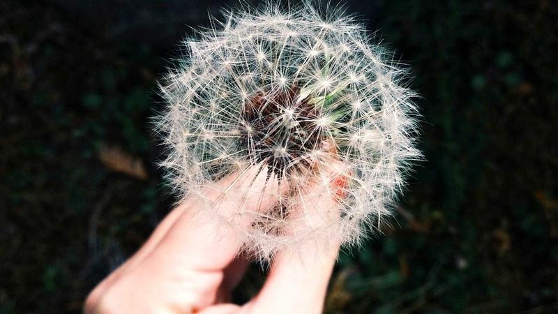 久精品视频免费观看：探索视觉盛宴背后的内容价值与观看体验