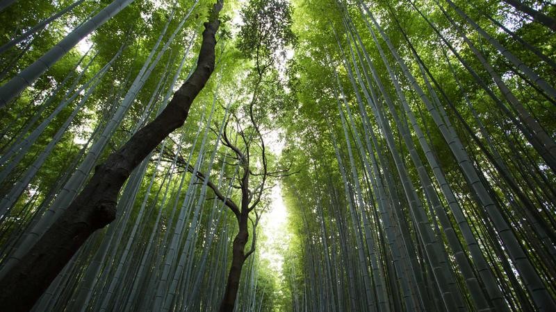内射中出无码护士在线专业护理知识分享，在线学习提升技能，立即加入互动课堂