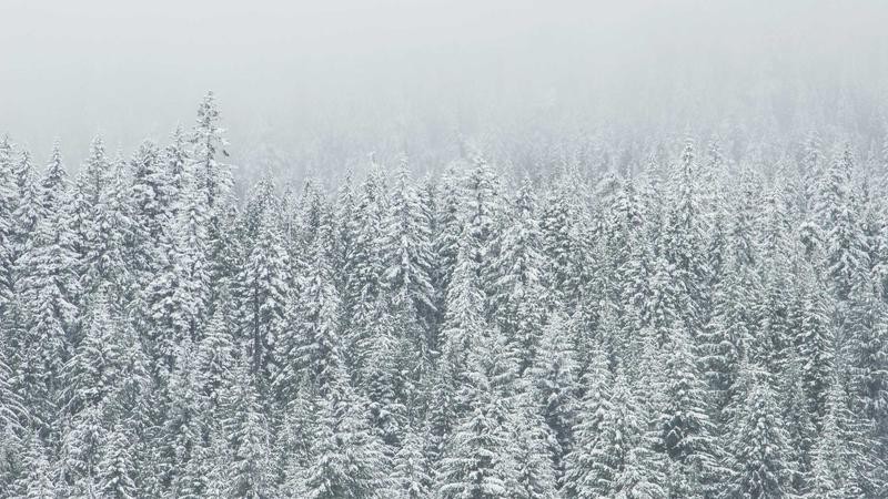 亚洲成在人网站天堂大块网：探索亚洲成人内容平台的深度解析与使用指南